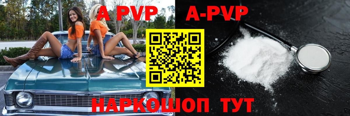 Alfa_PVP СК Ноябрьск