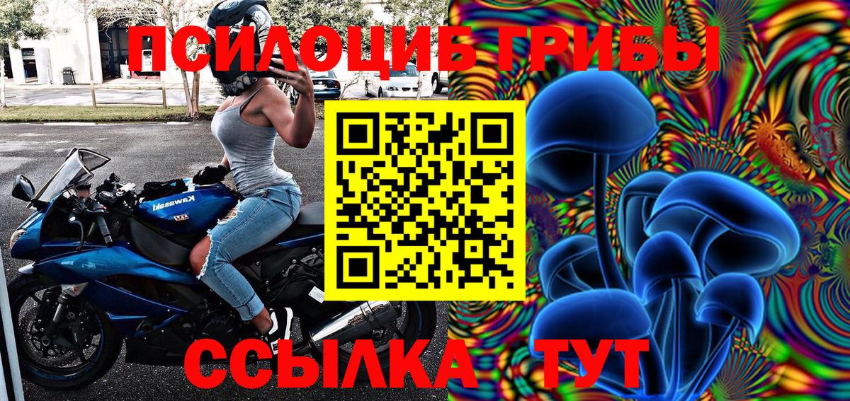 Псилоцибиновые грибы мицелий Ноябрьск