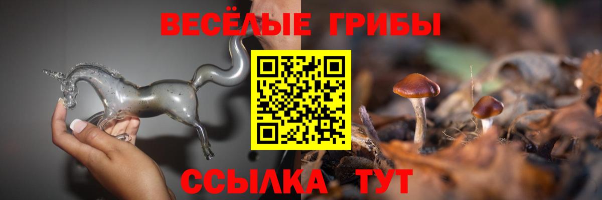 Ноябрьск  Псилоцибиновые грибы мухоморы  Вход с VPN  Галлюциногенные грибы ЛСД 